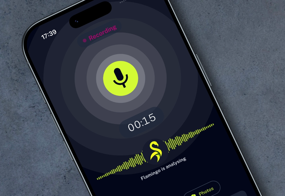 Nothing Important Is Lost or Forgotten